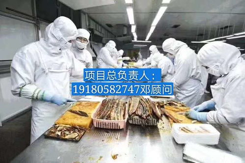 普瑞瑪扳手泵 報價、廠家與軟件代理服務全解析